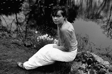 Bjork Photo, Pics, Wallpapers   Photo