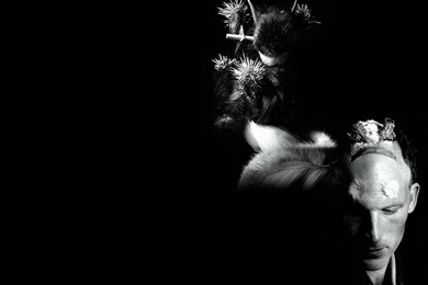 Cremaster Wallpapers