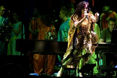 Björk Computer Wallpapers, Desktop Backgrounds