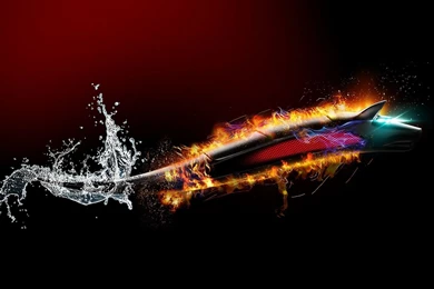 Download Wallpapers 1600x900 Dragon, Dark, Wolf, Bitdefender ...