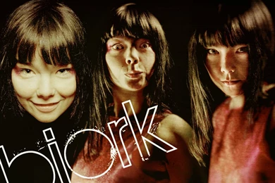 Björk   Björk Wallpapers (688199)   Fanpop