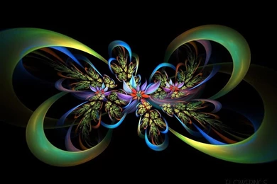 Free Wallpapers 893   HD Wallpapers