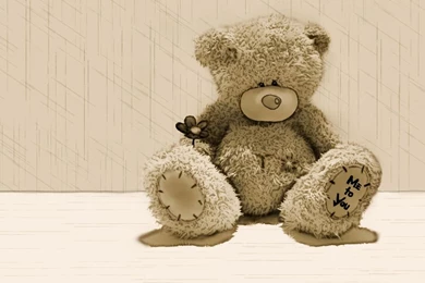 Free Wallpapers 84b   HD Wallpapers