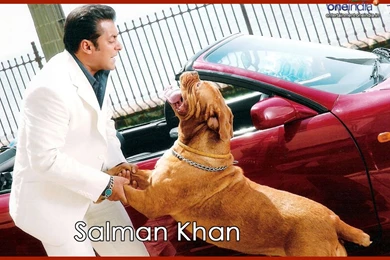 New Wallpapers Hd: Salman Khan Pics