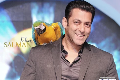 Gallery For   Salman Khan House Images Download