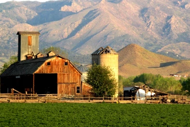 Rosanne Dorsey: Farm Backgrounds