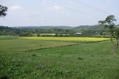 Owingsville, Kentucky Homes For Sale, Gateway Area Of Central ...