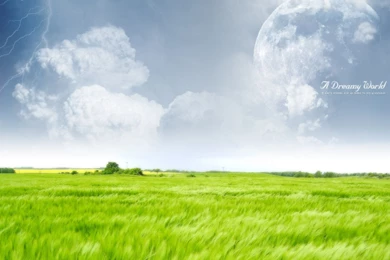 Imelda Mcconnell: Farm Hd