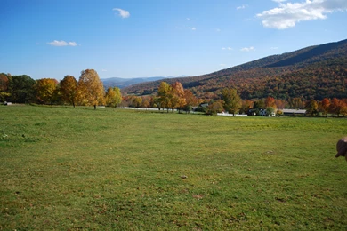 Our Wedding At Stone Tavern Farm, Roxbury, NY