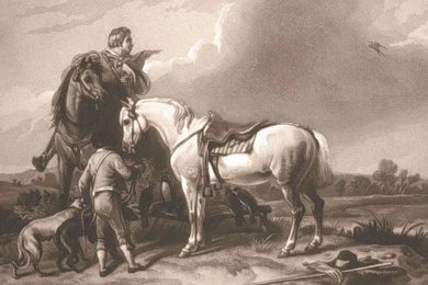 FREE Desktop Wallpapers Western Sporting