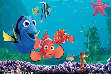 Sea Life   Sea Life Wallpapers (32310794)   Fanpop