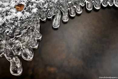 Black Backgrounds White Water In Single Leaf HD Wallpapers ...