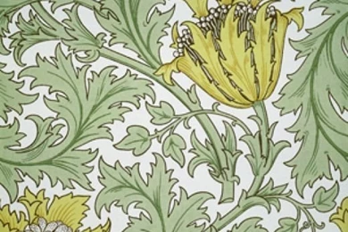 Beautiful Botanical Walls