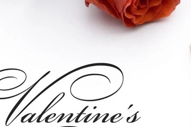 Valentines Day Rose Wallpapers   123mobileWallpapers.com