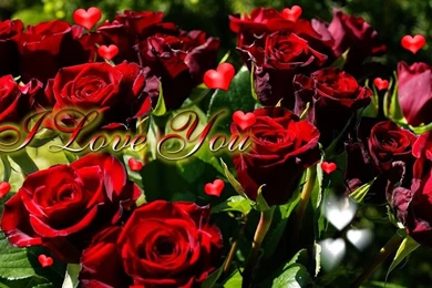 Top 10 Valentines Day Wallpapers 2016