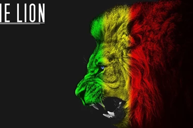 Browsing Wallpapers On DeviantArt