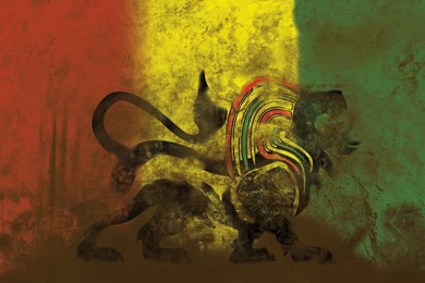 Rasta Lion Tattoo   Wallpaper.