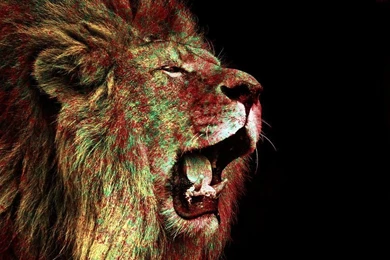 Browsing Wallpapers On DeviantArt