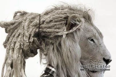 Rasta Lion   1280 / 800 Wallpapers