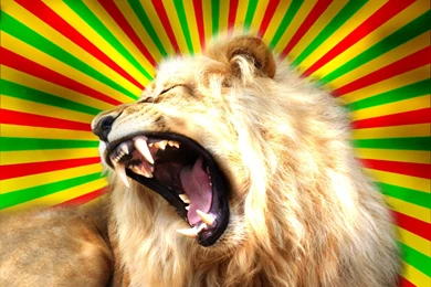 Browsing Designs & Interfaces On DeviantArt