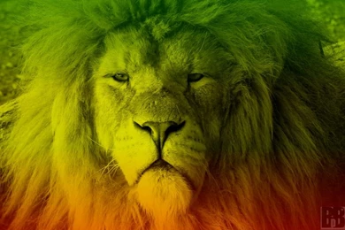 Reggaelion   DeviantArt