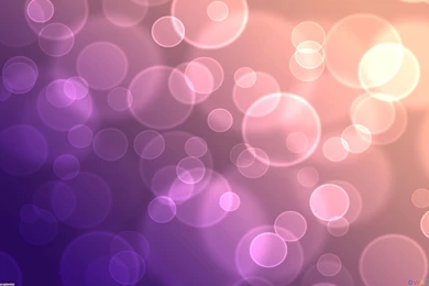 Light Purple Spots Wallpapers