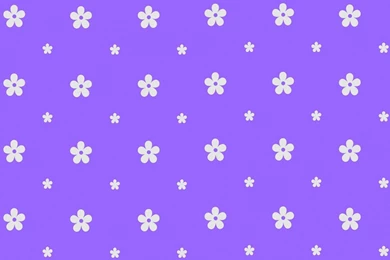 Background, Flower, Purple, White, Wallpaper, Wallpapers   1606359