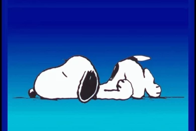 Snoopy Wallpapers   Snoopy Wallpapers (33124443)   Fanpop