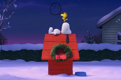 Peanut Snoopy 2015 HD Wallpaper, Peanut Snoopy Images, New Wallpapers
