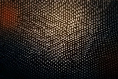 Wallpapers Skin Python Full Pattern Page Stone High Resolution ...