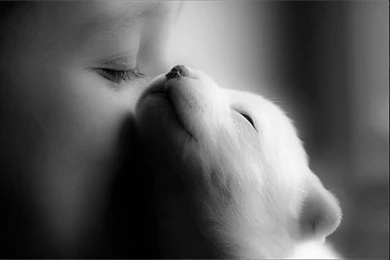 Download Free HD Wallpapers : Wallpapers For Mobile   Download Free ...