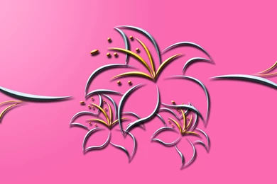 Lily Wallpapers   Deskpapers