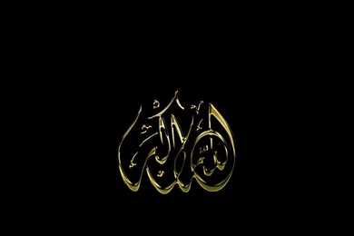 Browsing Wallpapers On DeviantArt