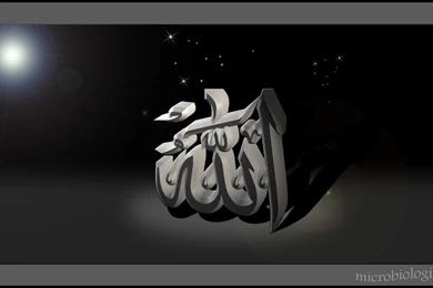 DeviantArt: More Like Palestine Mujahideen By JihadPrincess