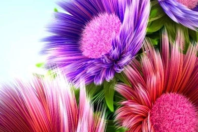 Iphone 5 wallpapers hd 1690 la236.jpg