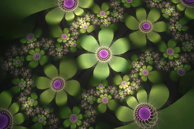 Flowers Wallpapers Free Download For Desktop   All Wallpapers New