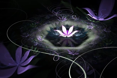 3D Wallpaper] 3D Flowers HD Wallpapers Fre