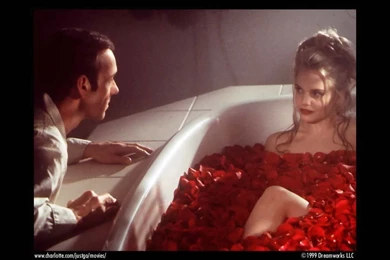 American Beauty Wallpapers