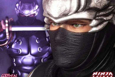 Ryu Hayabusa Wallpapers   Ryu Hayabusa Wallpapers (17105296 ...