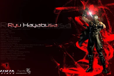 Ninja Gaiden   Ryu Hayabusa By RakuX On DeviantArt