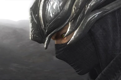 RYU HAYABUSA WALLPAPER   (