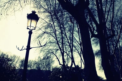 Light In The Dark HD Desktop Wallpapers : High Definition : Mobile