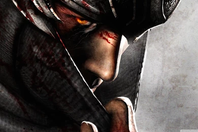 Ryu Hayabusa   Ninja Gaiden Wallpaper,game HD Wallpaper,games HD ...