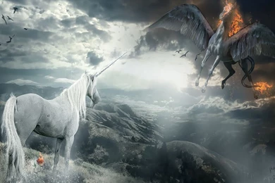 Wallpapers Light And Dark Vs Edhgg .4 1024x768