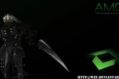 Ryu Hayabusa With Supported AMD Wallpapers By WZF On DeviantArt