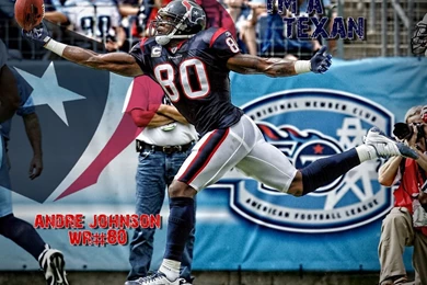 Andre Johnson