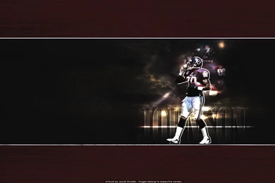 Andre Johnson Wallpapers By Hurricane Season On DeviantArt