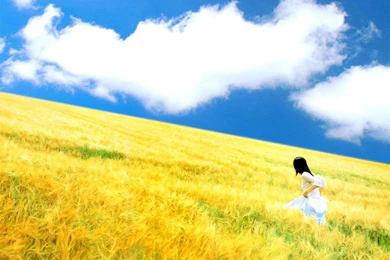 GUEST POST: No Such Thing As A Crappy Piece Of Cake