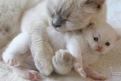 Hugs Feel So Good Computer Wallpapers, Desktop Backgrounds ...