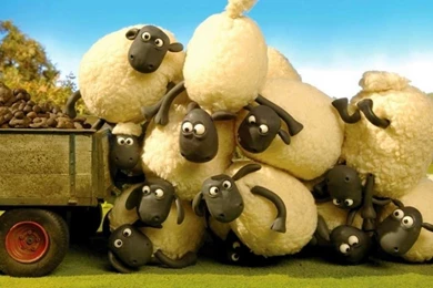 Shaun The Sheep   HD Wallpapers & Animated Image